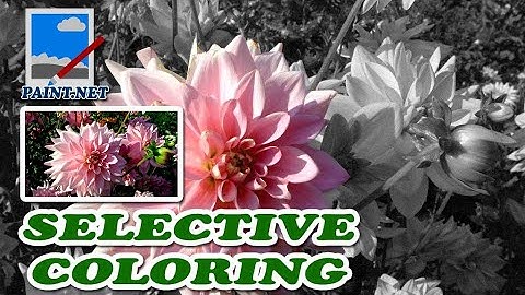 How To Make a Selective Coloring in Paint NET