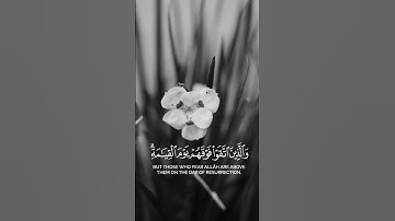 ﴿ زُيِّنَ لِلَّذِينَ كَفَرُوا الْحَيَاةُ الدُّنْيَا﴾ || [ البقرة: 212] || تلاوه عطره | القرأن الكريم