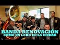 BANDA RENOVACIÓN - COMO UN LOBO EN LA CIUDAD (Versión Pepe&#39;s Office)
