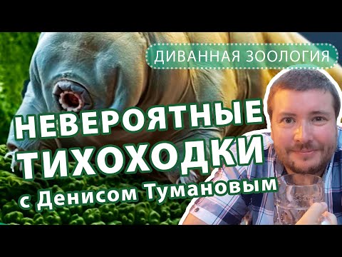 Вопрос: На самом дели тихоходка не убиваема Почему?