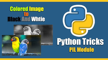 Convert Colored Image to Black and White in python | PIL module