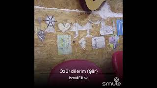 Ismail Elitok Özür Dilerim Şiir