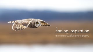 Finding Inspiration | New England &amp; Texas Wildlife Photography