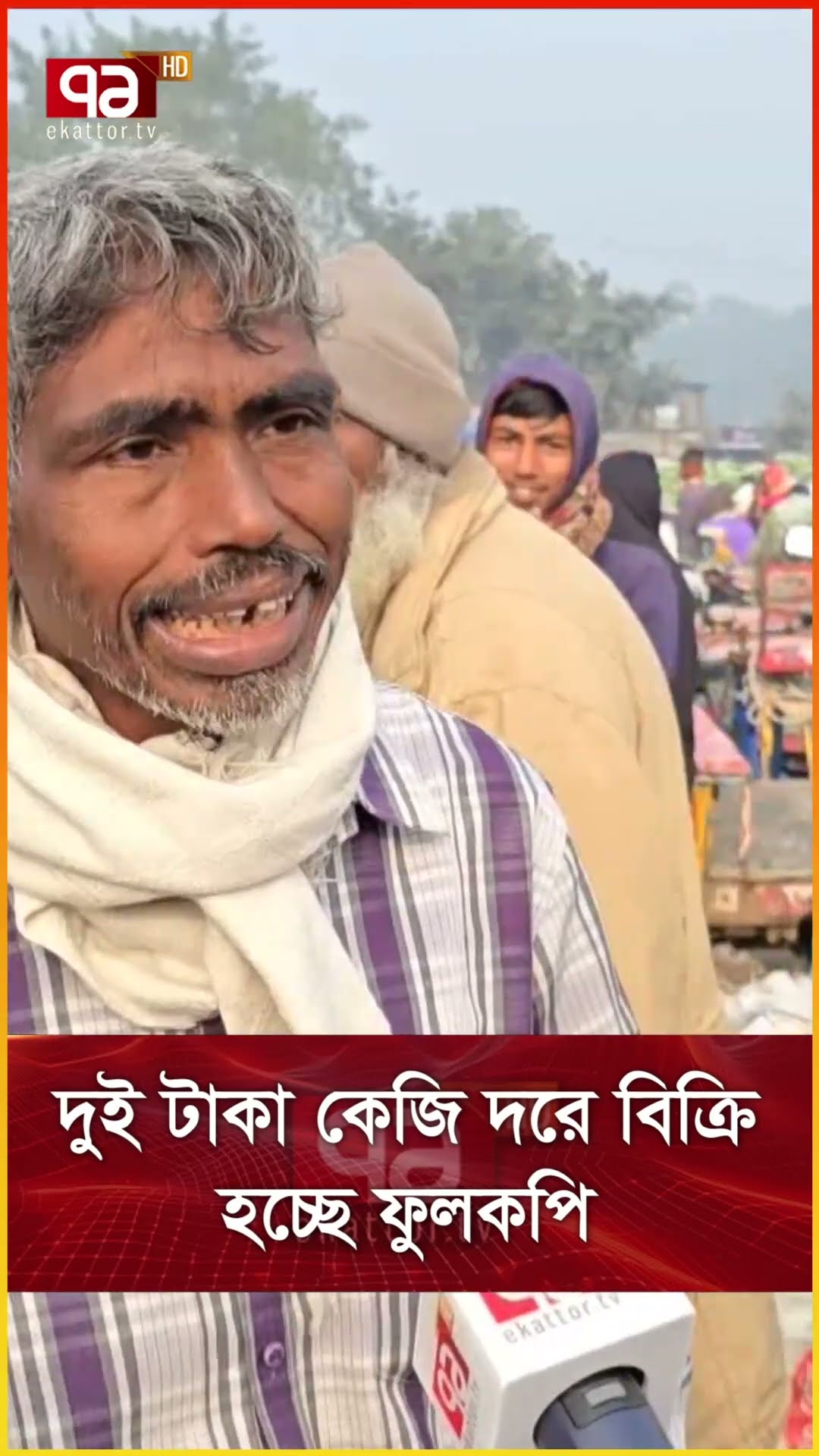 দুই টাকা কেজি দরে বিক্রি হচ্ছে ফুলকপি