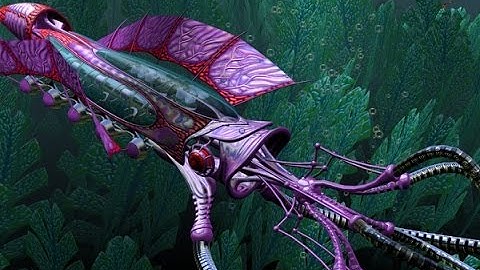 GeForce 4 Ti Squid Tech-Demo