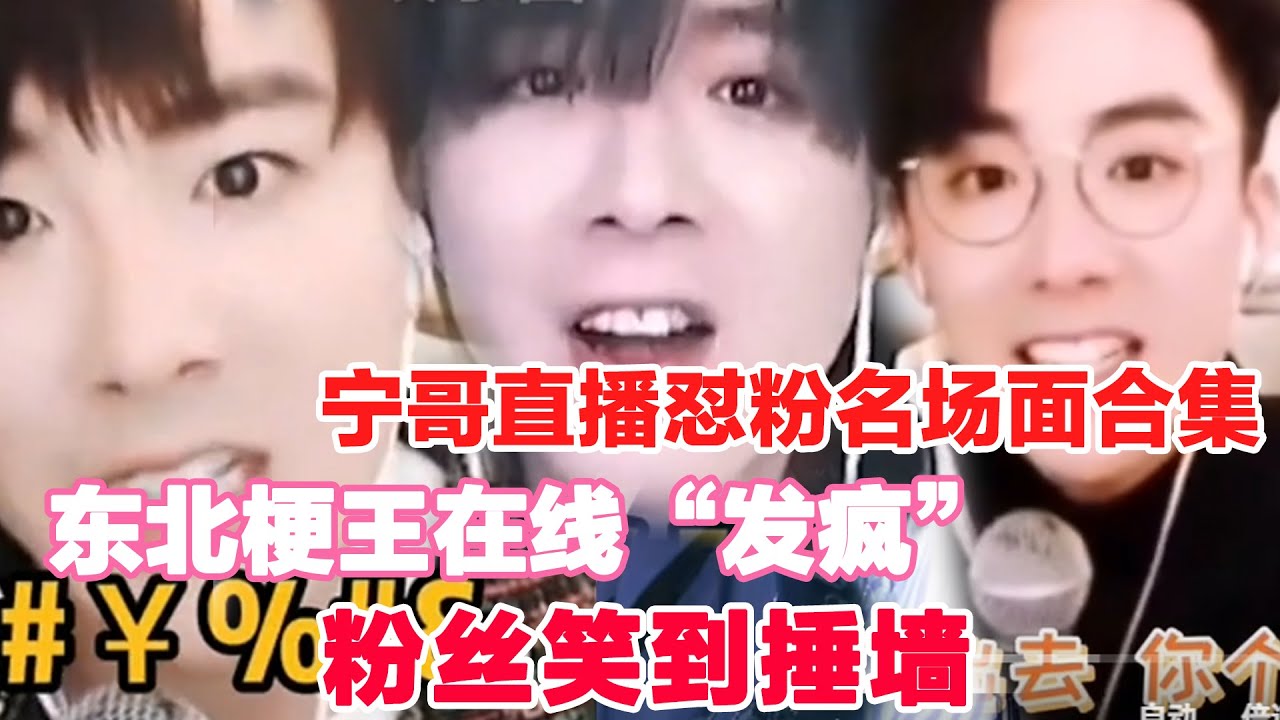 🔥刘宇宁直播怼粉名场面合集｜东北梗王在线“发疯”，粉丝笑到锤墙！🤣