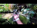 Bali ZOO - зоопарк для детей