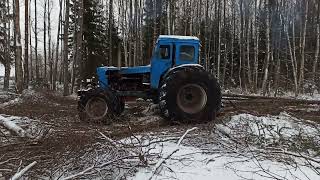 Трактор Т40 на колесах от комбайна валит что дурной.Заготовка леса на болоте зимой.