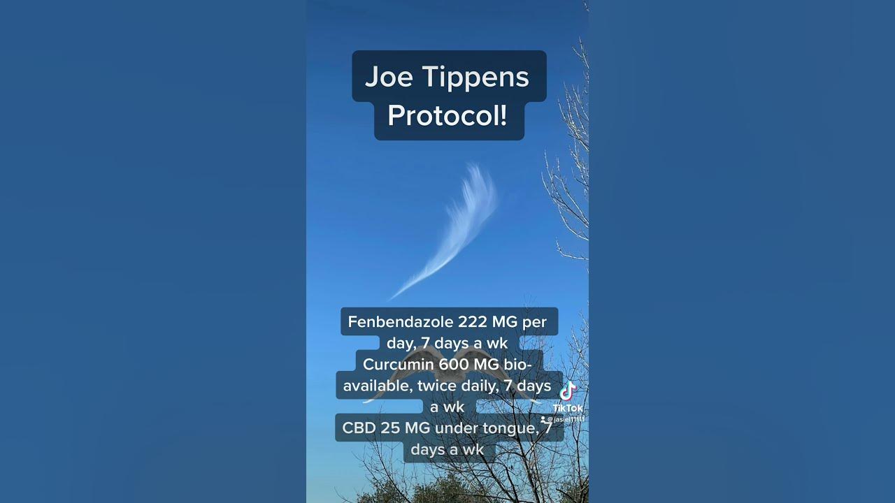 Joe Tippens ProtocolCancer! YouTube