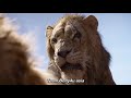 The Lion King (2023) [ Bolly4u.guru ] Dual Audio Bluray 480p 400MB_220524211546