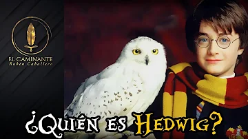 ¿Es Hedwig una lechuza de verdad?