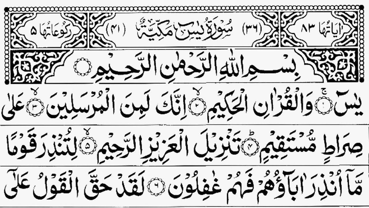Surah Yaseen 🌿 With Ar-Rahman & Mulk | Relaxed Quran Sound (Vol. 36)
