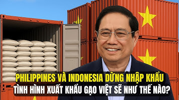 Mỹ Tin Tưởng Xuất Khẩu Gạo Việt Sẽ Bùng Nổ Năm 2025