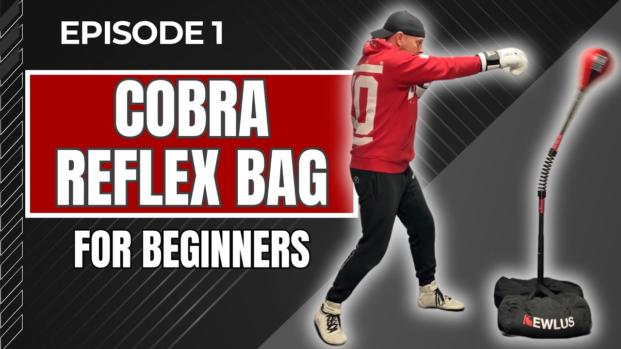 Ep 1 - Cobra Reflex Bag Training for beginners - YouTube