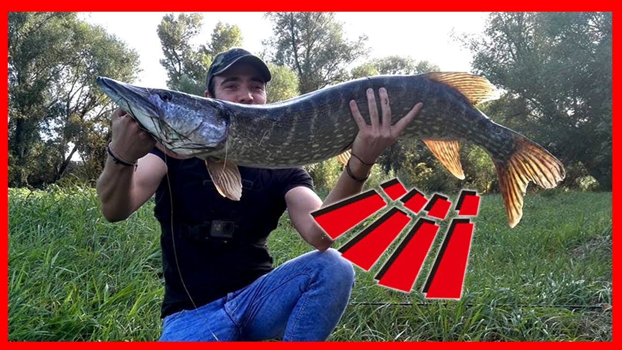 ENORME BROCHET 112 CM YouTube