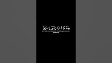 يا ايها الناس انا خلقناكم |عبد الباسط عبد الصمد كروما شاشة سوداء قرآن كريم #كرومات_قرآن #اكسبلور