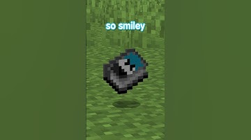 turning you into a minecraft item part three...  #minecraft #mcyt #minecraftshorts #shorts