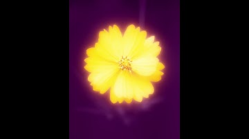 Orange Flower Glow Effect - Photoshop Tutorial - Adobe Photoshop