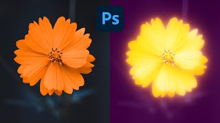 Orange Flower Glow Effect - Photoshop Tutorial - Adobe Photoshop