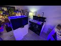 New reef tank build  waterbox 1054 frag  part 1