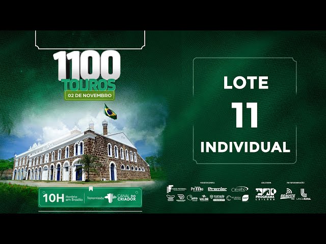 LOTE 11