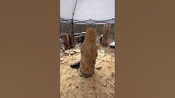 Chainsaw carving a bear .
