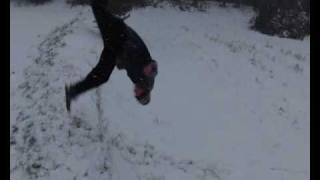 Snow Sampler / Philipp & Alex 2010