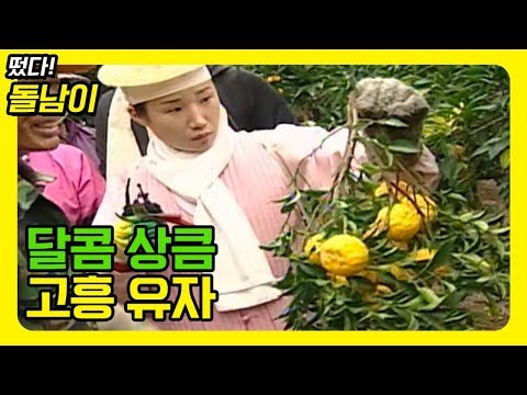 올 겨울 감기 걱정은 뚝~ 노오란 고흥 유자 [떴다돌남이]