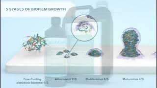 CleanCert 2-in-1 waterline disinfectant - intro