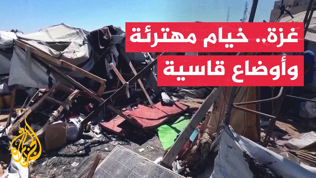 ���� ������ ���� ������� ����� ����� ��� ������ ��������
 - نشر قبل 11 دقيقة