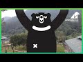 Moon bear Uno soaks up the sun for the first time in 18 years