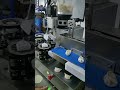 #dumplibg maker on the table for small business #semi-automatic dumpling machine