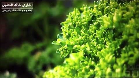 خالد الجليل - أواخر سورة المؤمنون - محرم 1433 هـ