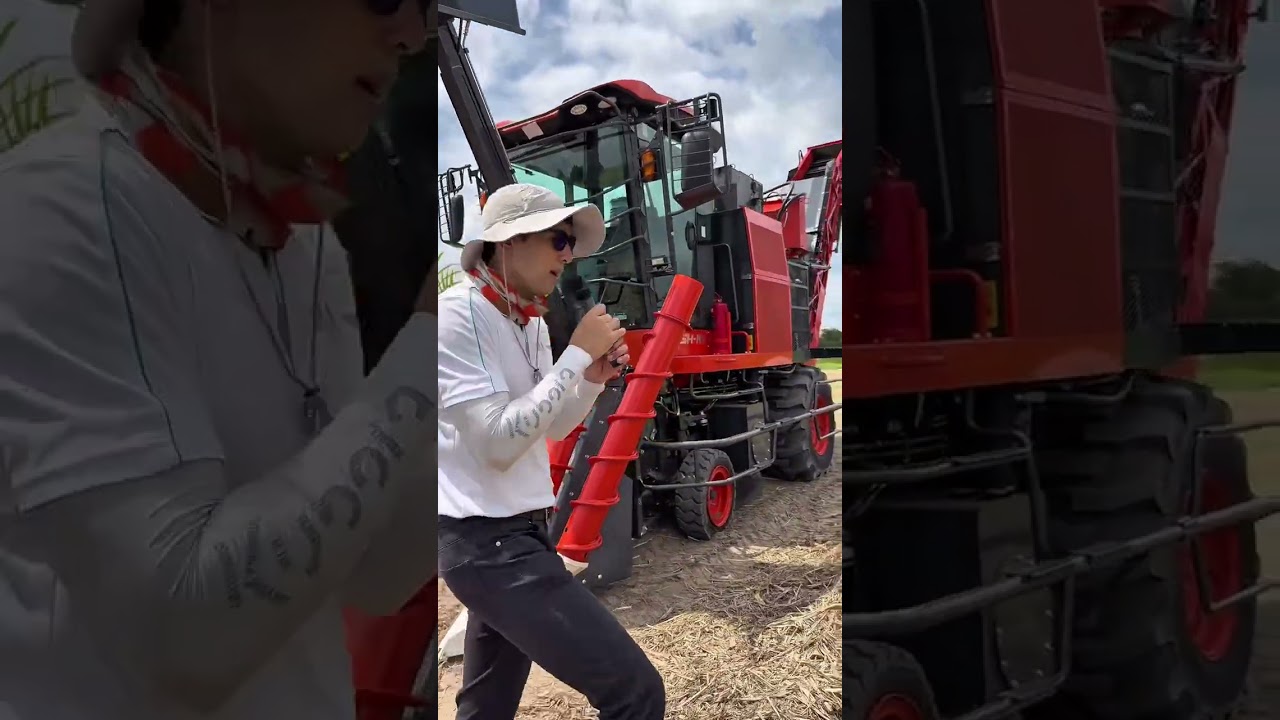 รถตัดอ้อยคูโบต้า 