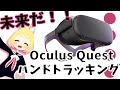 【素手で操作！】Oculus Questでハンドトラッキング！！【オキュラスクエスト】