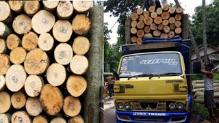 Truk muat kayu sengon superan - truk sengon mania