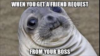 Awkward Moment Seal