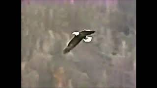 Otherworld(1985) Tv series:Music!