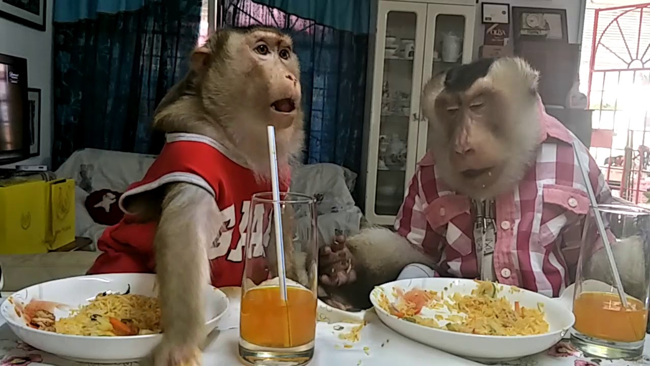 Jk Shaki Friday Briani Time