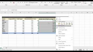 How to make daily productivity report in excel (Sum & Percentage % Excel Formula) screenshot 3