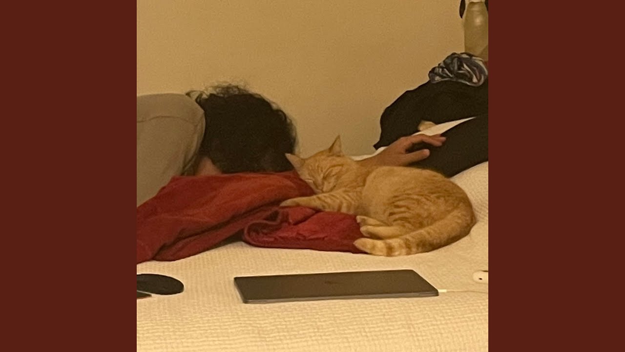 Tonton 萌ゆる春から di YouTube Tonton 萌ゆる春から di YouTube