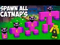 Why did I SPAWN ALL THE RAREST CATNAP in Minecraft ! POPPY PLAYTIME CHAPTER 3 !