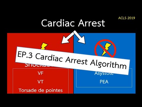 CPR Universe | EP. 3 Cardiac arrest algorithm | Emergency Channel