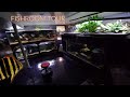 Fishroom walk through 