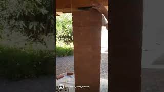 Come Fare Il Paramano