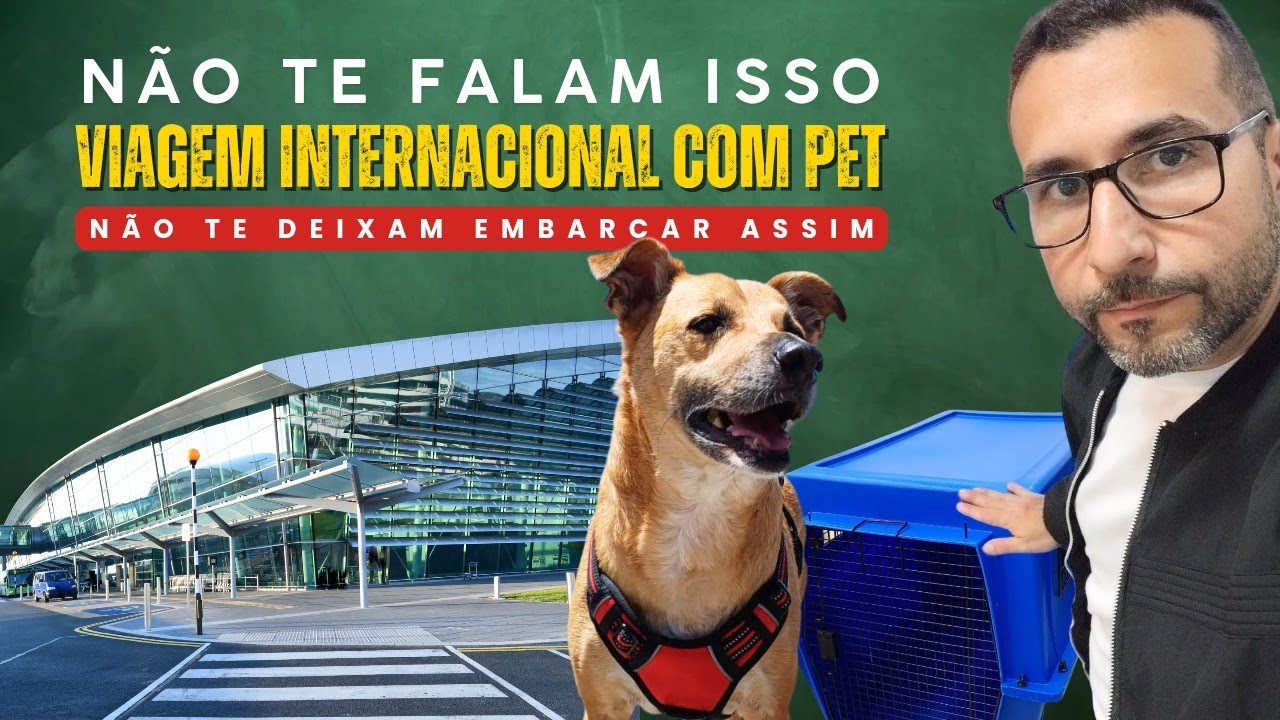 NÃO TE DEIXAM EMBARCAR COM SEU PET ASSIM | Viagem internacional com pet (detalhes importantes)