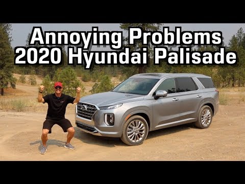 Video: Hyundai, Yeni Palisade Calligraphy Için Kötü Koku Sorununu çözdü - Rambler / Kadın