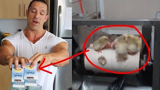 Greg Doucette is an Animal Abuser - Change my Mind Debate Challenge
Greg Doucette claims not to be an animal abuser yet pays for animals to be abused with his food choices. In this video I go over why anyone who buys meat and animal products is an animal abuser.
Get Vegan pet food: https://vgrrr.com/?ref=iamxbmwfwigx
Coupon Code: VEGANBEASTS10438
Support me: https://www.vegangainsofficial.com/support
Patreon: https://www.patreon.com/vegangains
Check out Quality Gains for online coaching:
https://qualitygains.com/signup Greg Doucette is an Animal Abuser - Change my Mind Debate Challenge