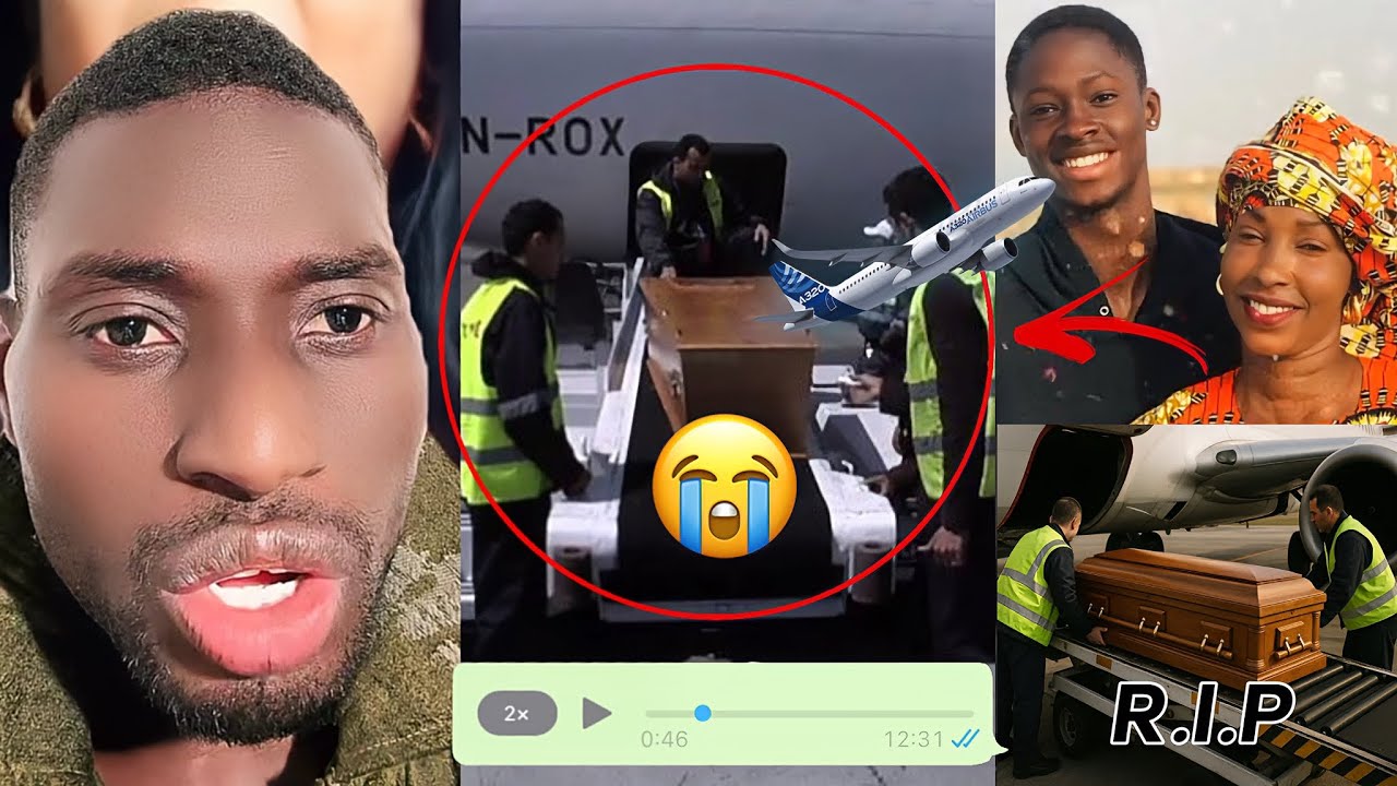 En live Adamo Bonne Nouvelle Pour Chiekh Toure déwoul Bamba Réaction Mouhamed 😭