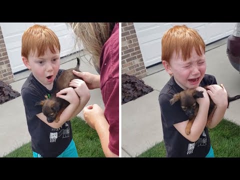 Young Boy Surprised With Tiny Puppy